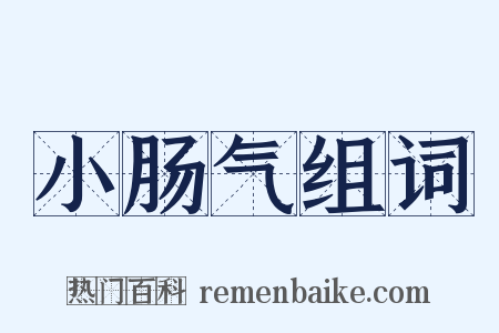 小肠气组词是什么意思的图片